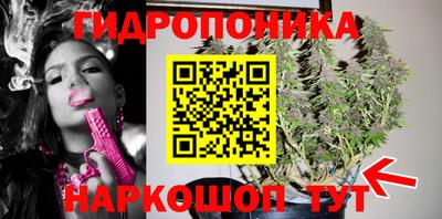 Альфа ПВП Северобайкальск